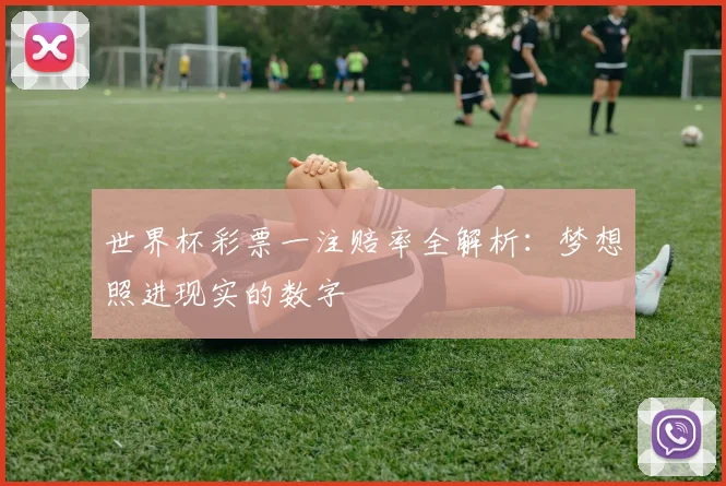 世界杯彩票一注赔率全解析：梦想照进现实的数字
