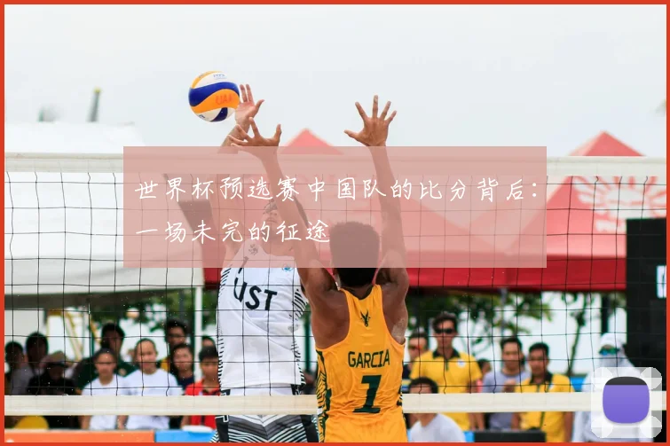 世界杯预选赛中国队的比分背后:一场未完的征途